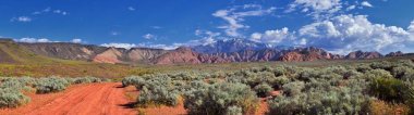 Millcreek Trail ve Washington Hollow St George, Utah çölde Bahar çiçek tarafından Red Mountain Wilderness ve Snow Canyon State Park manzarası. Amerika Birleşik Devletleri.