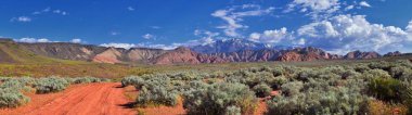 Views of Red Mountain Wilderness and Snow Canyon State Park from the  Millcreek Trail and Washington Hollow by St George, Utah in Spring bloom in desert. United States. clipart