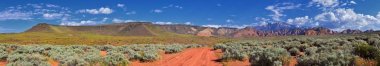 Millcreek Trail ve Washington Hollow St George, Utah çölde Bahar çiçek tarafından Red Mountain Wilderness ve Snow Canyon State Park manzarası. Amerika Birleşik Devletleri.