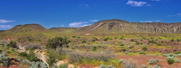 Millcreek Trail ve Washington Hollow St George, Utah çölde Bahar çiçek tarafından Red Mountain Wilderness ve Snow Canyon State Park manzarası. Amerika Birleşik Devletleri.