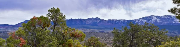 Snow Canyon Overlook Vue Depuis Sentier Randonnée Red Mountain Wilderness — Photo