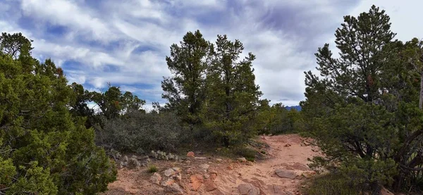 Snow Canyon Overlook Vistas Desde Sendero Senderismo Red Mountain Wilderness — Foto de Stock