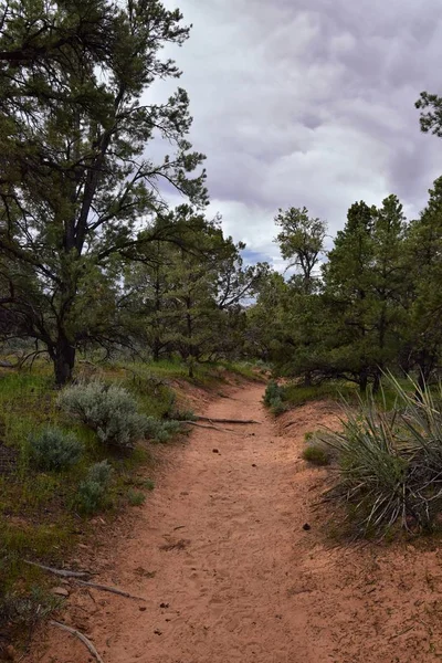 Snow Canyon Overlook Uitzicht Vanaf Red Mountain Wilderness Hiking Trailhead — Stockfoto