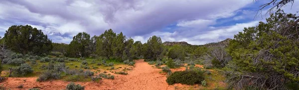 Snowcanyon Přehlédnout Výhled Divočiny Rudé Hory Pěší Túry Státní Park — Stock fotografie