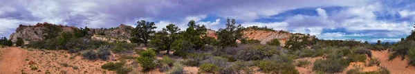 Snow Canyon Overlook View Red Mountain Wilderness Hiking Trailhead State — стоковое фото