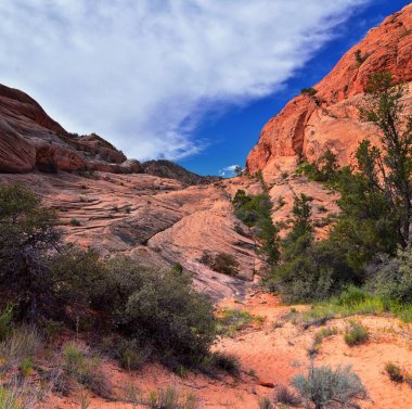 Aşağı Kum Koyu'ndan Girdap oluşumuna kadar, Red Cliffs Ulusal Koruma Alanı'ndaki Snow Canyon State Park'ın gunlock ve St George, Utah, Amerika Birleşik Devletleri tarafından. 