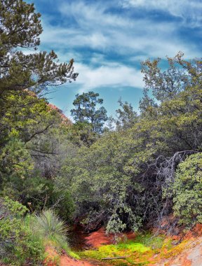 Aşağı Kum Koyu'ndan Girdap oluşumuna kadar, Red Cliffs Ulusal Koruma Alanı'ndaki Snow Canyon State Park'ın gunlock ve St George, Utah, Amerika Birleşik Devletleri tarafından. 