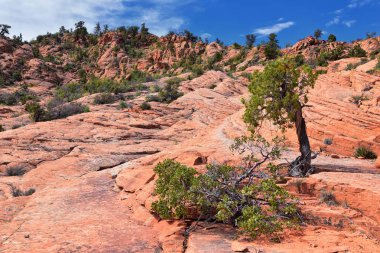 Aşağı Kum Koyu'ndan Girdap oluşumuna kadar, Red Cliffs Ulusal Koruma Alanı'ndaki Snow Canyon State Park'ın gunlock ve St George, Utah, Amerika Birleşik Devletleri tarafından. 