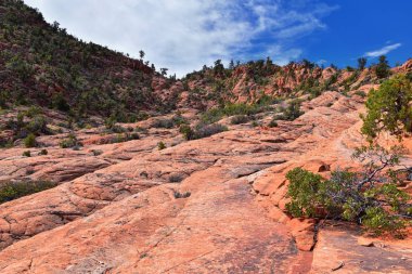 Aşağı Kum Koyu'ndan Girdap oluşumuna kadar, Red Cliffs Ulusal Koruma Alanı'ndaki Snow Canyon State Park'ın gunlock ve St George, Utah, Amerika Birleşik Devletleri tarafından. 