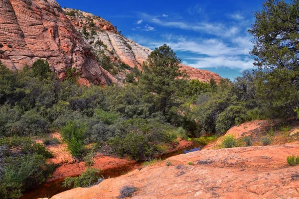 Pohled Stezky Dolní Písečné Zátoky Formace Vír Státní Park Snowcanyon — Stock fotografie