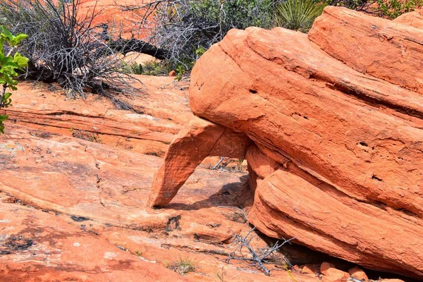 Views from the Lower Sand Cove trail to the Vortex formation, by Snow Canyon State Park in the Red Cliffs National Conservation Area, by Gunlock and St George, Utah, United States.