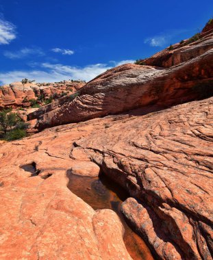 Aşağı Kum Koyu'ndan Girdap oluşumuna kadar, Red Cliffs Ulusal Koruma Alanı'ndaki Snow Canyon State Park'ın gunlock ve Saint George, Utah, Amerika Birleşik Devletleri tarafından. 