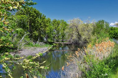 Jordan River Parkway Trail, Legacy Parkway Trail sınır Redwood Trailhead, kayalık dağlar boyunca çevredeki ağaçlar ve silt dolu çamurlu su ile panorama manzarası, Salt Lake City, Utah.