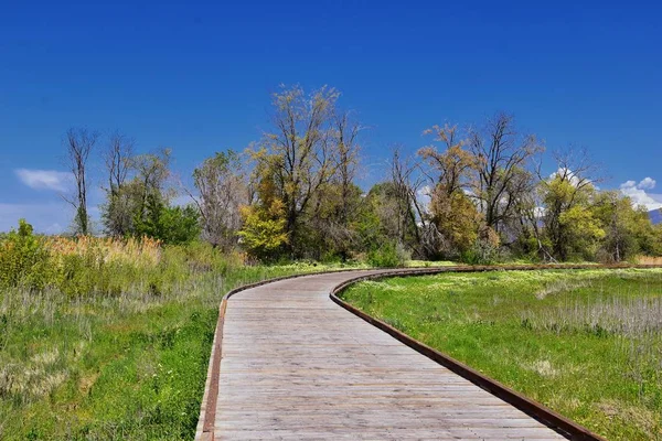 Йорданія River Бульвар Trail Редвуд Межують Спадщиною Шлях Бульвар Панорама — стокове фото