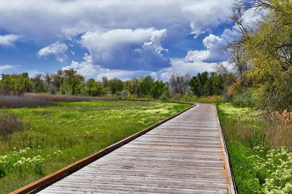 Йорданія River Бульвар Trail Редвуд Межують Спадщиною Шлях Бульвар Панорама — стокове фото