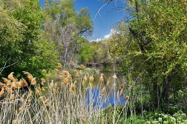 Jordan River Parkway Trail Redwood Trailhead Bordering Legacy Parkway Trail — Stock Photo, Image