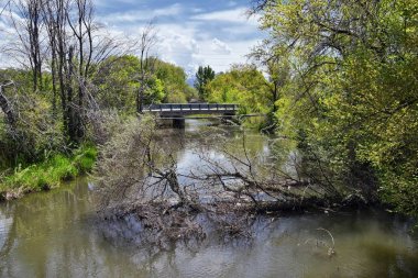 Jordan River Parkway Trail, Legacy Parkway Trail sınır Redwood Trailhead, kayalık dağlar boyunca çevredeki ağaçlar ve silt dolu çamurlu su ile panorama manzarası, Salt Lake City, Utah.