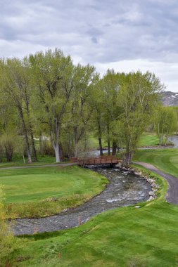 Sun Valley, Porsuk Kanyon Sawtooth Dağları Ulusal Orman Manzara Manzara Idaho Trail Creek Road manzarası. Amerika Birleşik Devletleri.