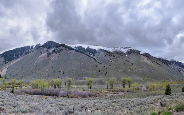 Sun Valley Porsuk Kanyon Sawtooth Dağları Ulusal Orman Manzara Manzara — Stok fotoğraf