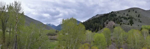 Sun Valley Badger Canyon Sawtooth Mountains National Forest Paisagem Panorâmica — Fotografia de Stock