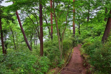 Kawaguchiko Tenjozan Park yürüyüş parkuru da dahil olmak üzere Fuji Japonya Dağı'nın manzarası, gondol gözleminden göl tarafına kadar uzanAcak. Asya.