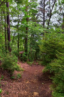 Kawaguchiko Tenjozan Park yürüyüş parkuru da dahil olmak üzere Fuji Japonya Dağı'nın manzarası, gondol gözleminden göl tarafına kadar uzanAcak. Asya.