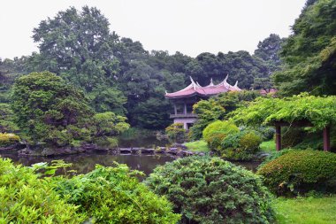 Tokyo, Japonya'da halka açık parklarda geleneksel Japon bahçeleri. Yollar ve patikalar etrafında yürüyüş taş fenerler, göller, göletler, bonsai ve yaban hayatı manzarası. Asya. 