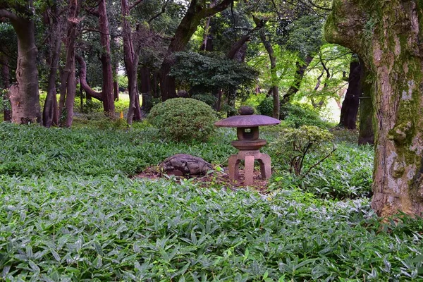 Traditional Japanese Gardens Public Parks Tokyo Japan Views Stone Lanterns — Stock Photo, Image