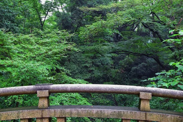Традиционные Японские Сады Общественных Парках Токио Япония Виды Каменных Фонарей — стоковое фото