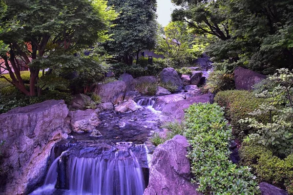 Παραδοσιακοί Ιαπωνικοί Κήποι Δημόσια Πάρκα Στο Τόκιο Ιαπωνία Θέα Από — Φωτογραφία Αρχείου