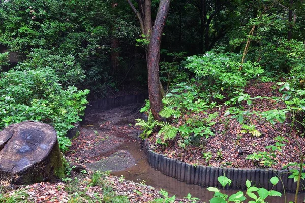 Kebun Tradisional Jepang Taman Umum Tokyo Jepang Pemandangan Lentera Batu — Stok Foto