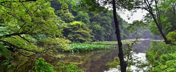 東京の公園にある日本庭園 石灯籠 野生動物の景色を眺めることができます アジア — ストック写真