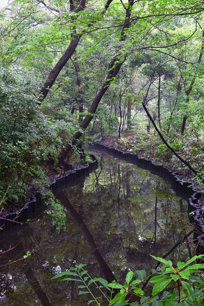 Tokyo, Japonya'da halka açık parklarda geleneksel Japon bahçeleri. Yollar ve patikalar etrafında yürüyüş taş fenerler, göller, göletler, bonsai ve yaban hayatı manzarası. Asya. 