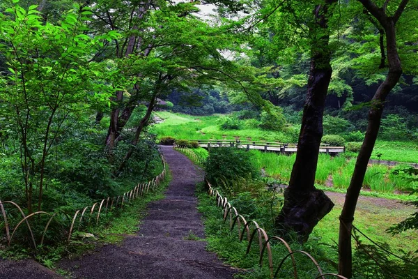 Tokyo, Japonya'da halka açık parklarda geleneksel Japon bahçeleri. Yollar ve patikalar etrafında yürüyüş taş fenerler, göller, göletler, bonsai ve yaban hayatı manzarası. Asya. 