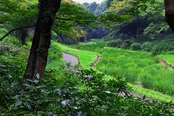 Традиционные Японские Сады Общественных Парках Токио Япония Виды Каменных Фонарей — стоковое фото