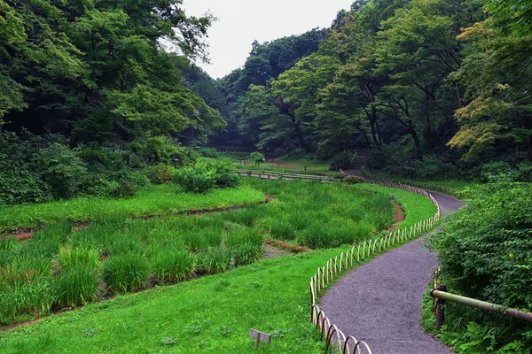 Tokyo, Japonya'da halka açık parklarda geleneksel Japon bahçeleri. Yollar ve patikalar etrafında yürüyüş taş fenerler, göller, göletler, bonsai ve yaban hayatı manzarası. Asya. 