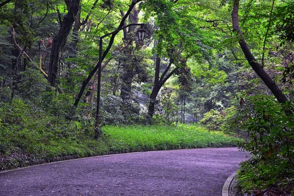 Tokyo Japonya Halka Açık Parklarda Geleneksel Japon Bahçeleri Yollar Patikalar — Stok fotoğraf