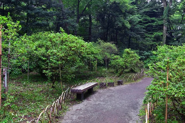 Tokyo, Japonya'da halka açık parklarda geleneksel Japon bahçeleri. Yollar ve patikalar etrafında yürüyüş taş fenerler, göller, göletler, bonsai ve yaban hayatı manzarası. Asya. 