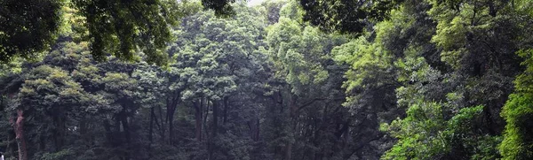 Traditionelle Japanische Gärten Öffentlichen Parks Tokio Japan Blick Auf Steinerne — Stockfoto