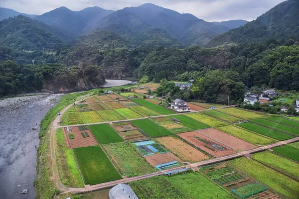 電車で水田 農村を眺め 東京周辺の田園風景 アジア — ストック写真