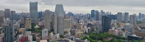 Tokyo Japon Skylines Gratte Ciel Bâtiments Vue Aérienne Autour Quartier — Photo
