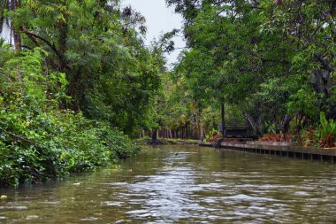Bangkok Tayland 'ın yüzen marketi, Damnoen Saduak. Yerel satış mağazalarının, kanalların ve bitki örtüsünün tur teknesinden görüntüler. Asya.