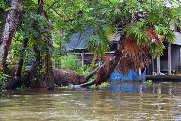 Floating Market by Bangkok Thailand, Damnoen Saduak. Views from tour boat of local sales shops, canals and vegetation landscape. Asia.