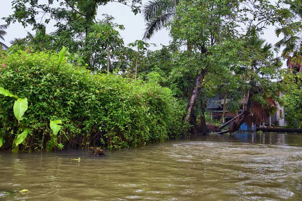 Floating Market by Bangkok Thailand, Damnoen Saduak. Views from tour boat of local sales shops, canals and vegetation landscape. Asia.