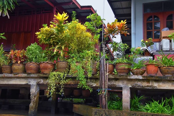 Floating Market Door Bangkok Thailand Damnoen Saduak Uitzicht Vanaf Rondvaartboot — Stockfoto