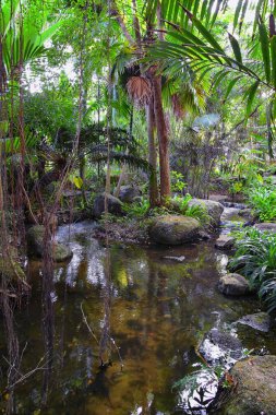 Phuket resepsiyonu, Tayland tatil köyündeki patika manzarası, Bangkok yakınlarında hiç kimsesiz fotoğraf. Asya.