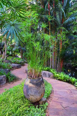 Phuket resepsiyonu, Tayland tatil köyündeki patika manzarası, Bangkok yakınlarında hiç kimsesiz fotoğraf. Asya.