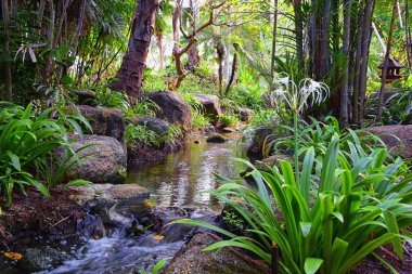 Phuket resepsiyonu, Tayland tatil köyündeki patika manzarası, Bangkok yakınlarında hiç kimsesiz fotoğraf. Asya.