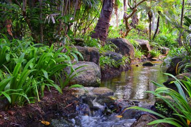Phuket resepsiyonu, Tayland tatil köyündeki patika manzarası, Bangkok yakınlarında hiç kimsesiz fotoğraf. Asya.