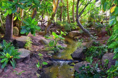 Phuket resepsiyonu, Tayland tatil köyündeki patika manzarası, Bangkok yakınlarında hiç kimsesiz fotoğraf. Asya.